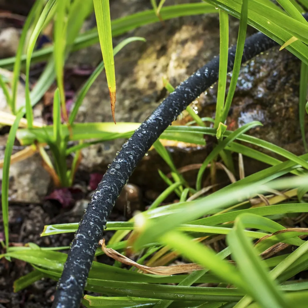 Irrigation ring drip hose