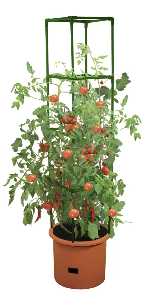 Growchampion Pflanzenchampion "Terracotta"