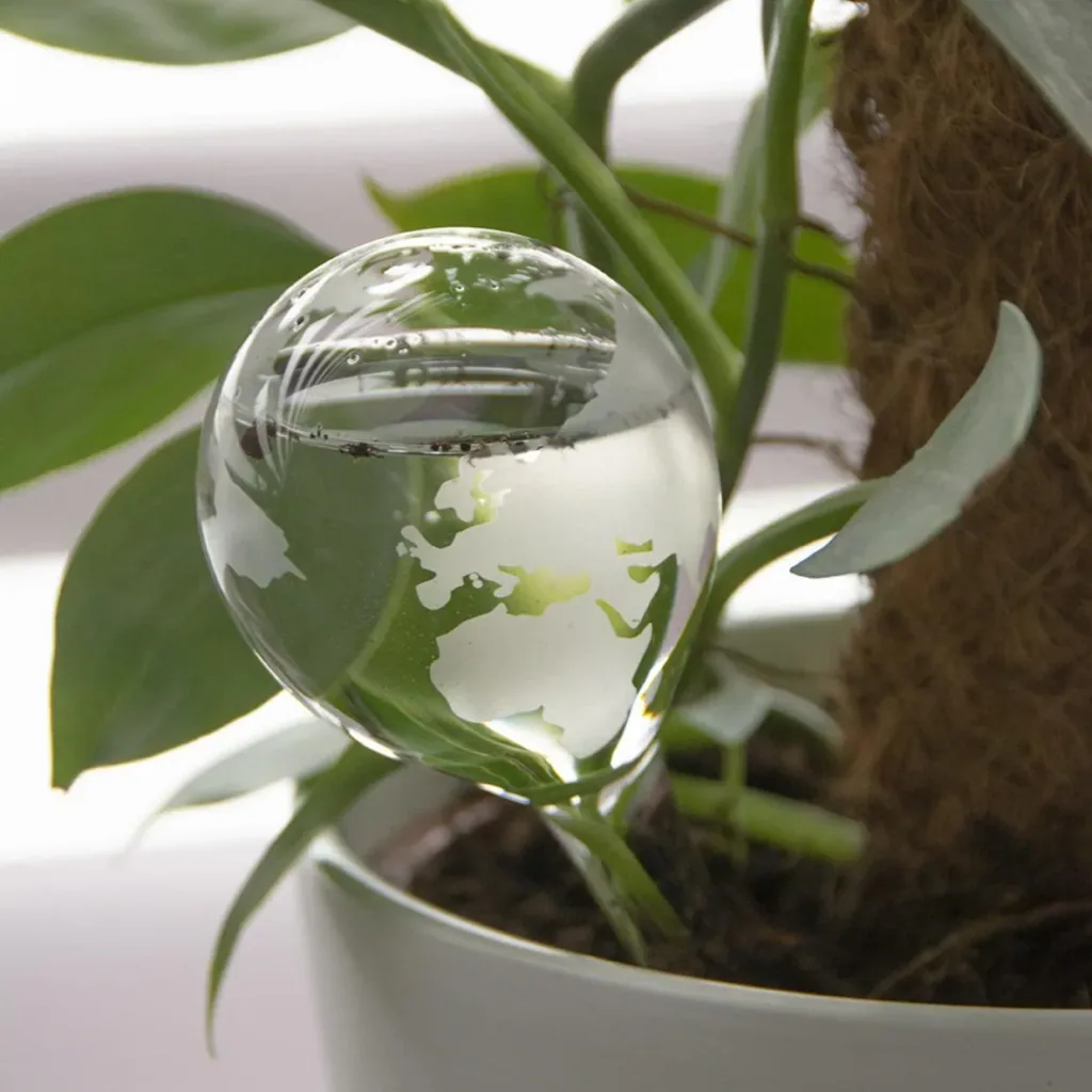 Irrigation globe globe