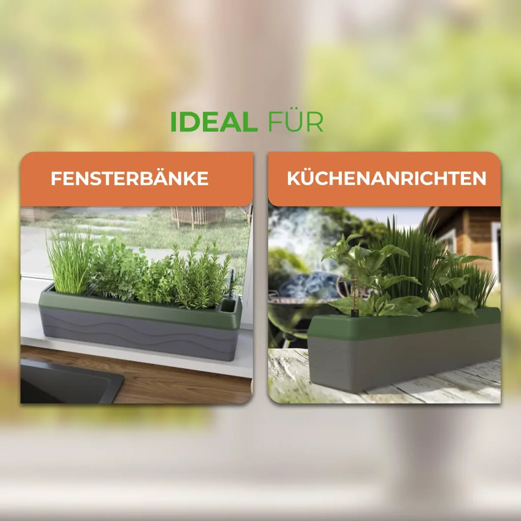 Herb box "Provence"