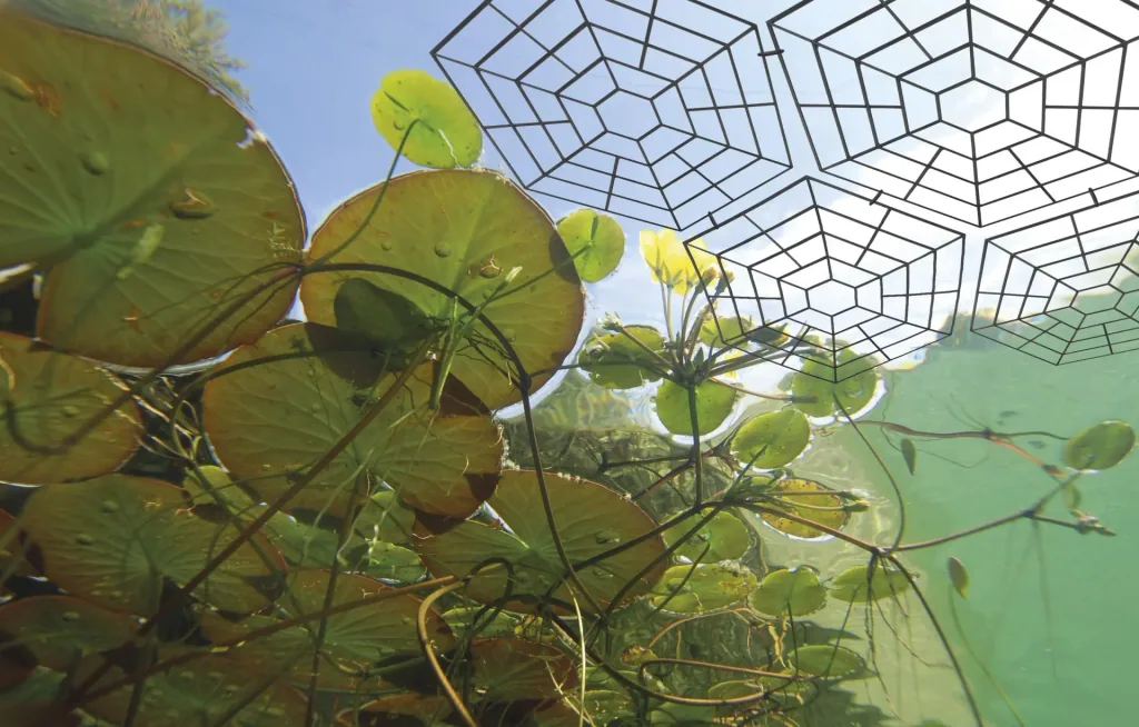 Bird protection pond grids, set of 60