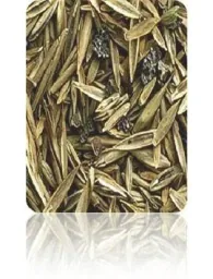 TerraVital Splendor & Elegance Lawn Seed Mix - 3 kg