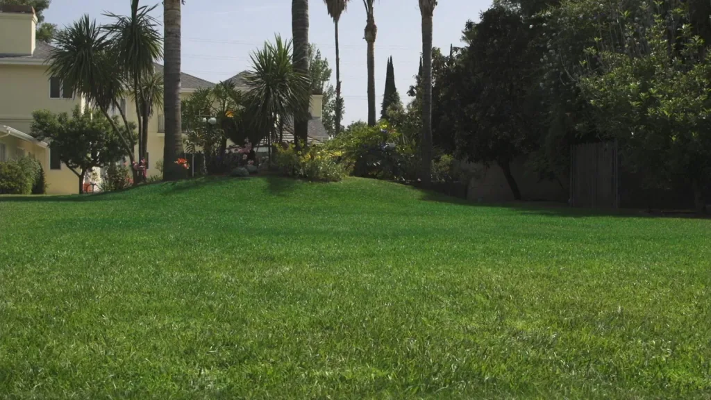 Hydro Mousse - Greening system lawn reseeding