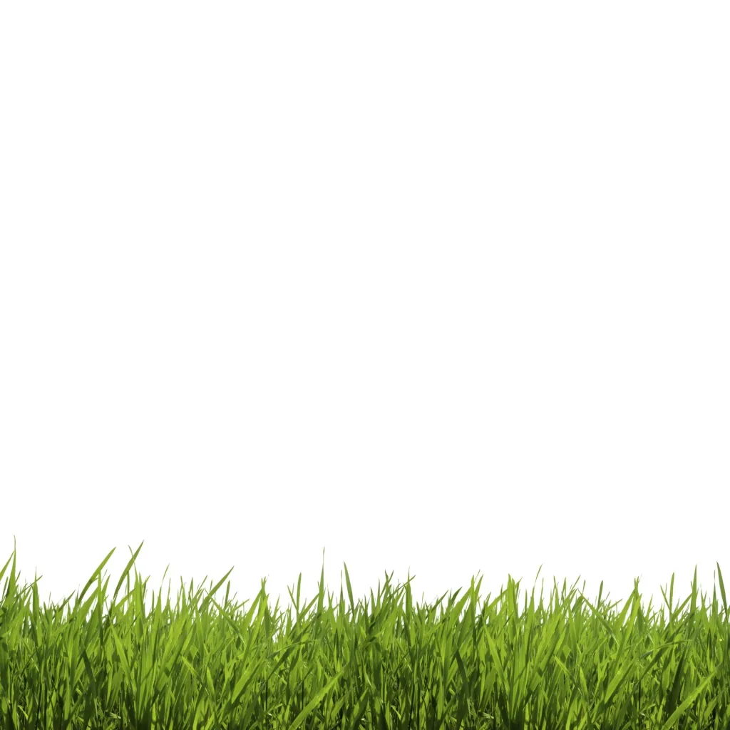Hydro Mousse - Greening system lawn reseeding