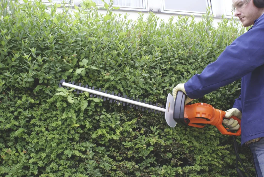 Taille-haie électrique HA 710/61